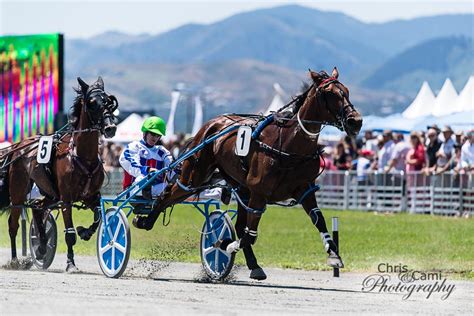 harness racing nz results|NZ Racing Results .